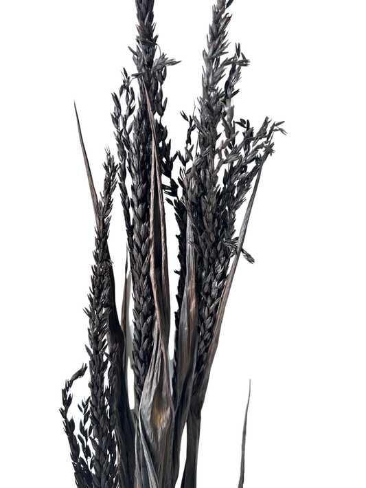 Corn Stalks 4' Black