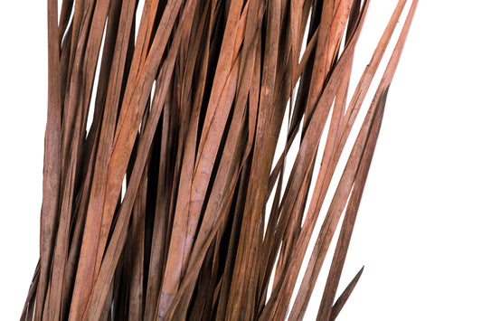 Wild Grass 45-55"