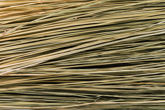 Meadow Grass 36-40"