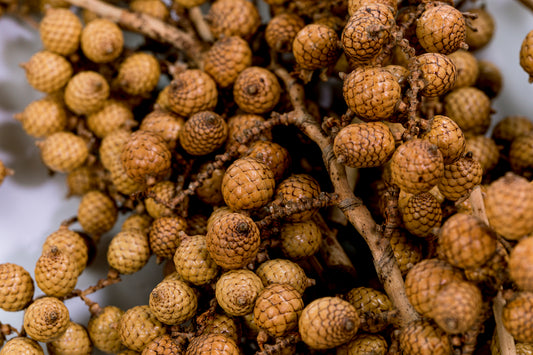 Canella Deluxe Natural