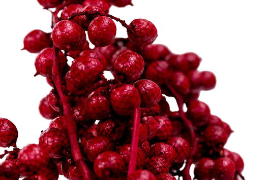 Canella Deluxe Red