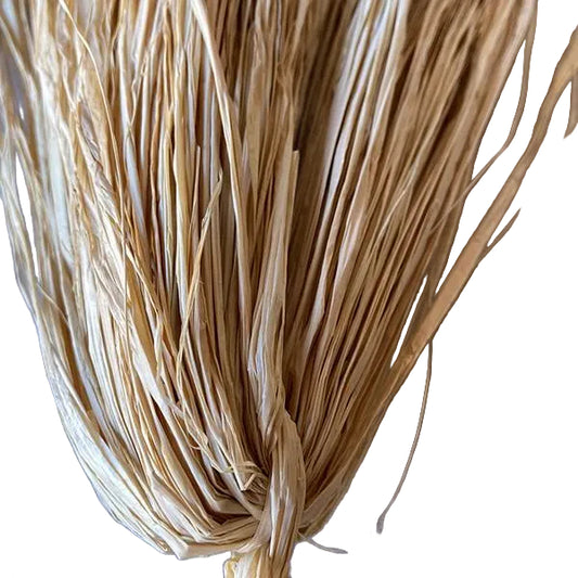 Trimmed Raffia 36"