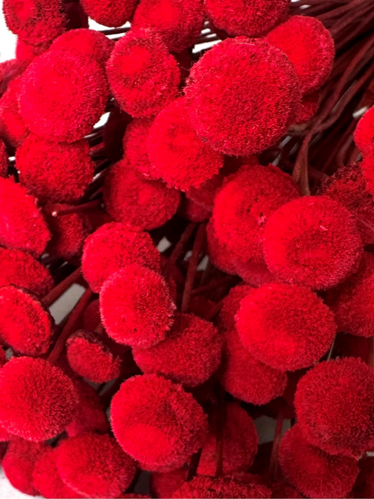 Floral Buttons Red