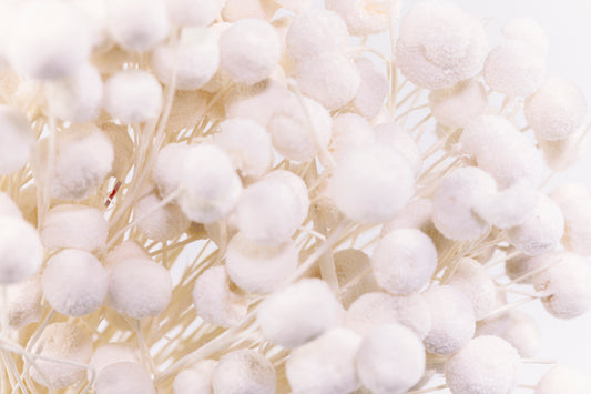 Floral Buttons Bleach White