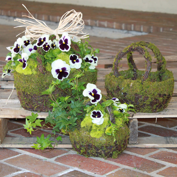 Delightfully Spring Designs