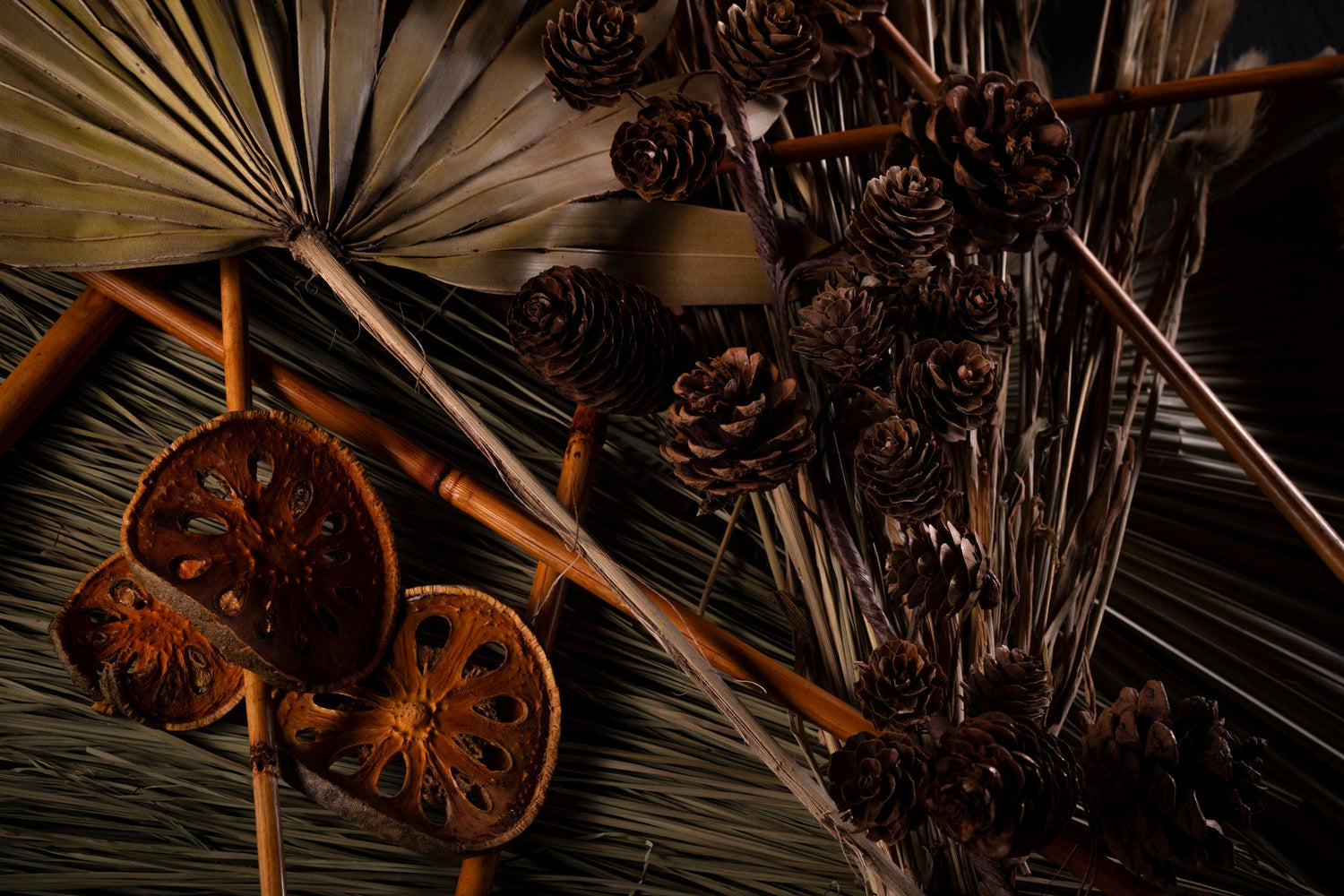 Dried Pods & Pine Cones