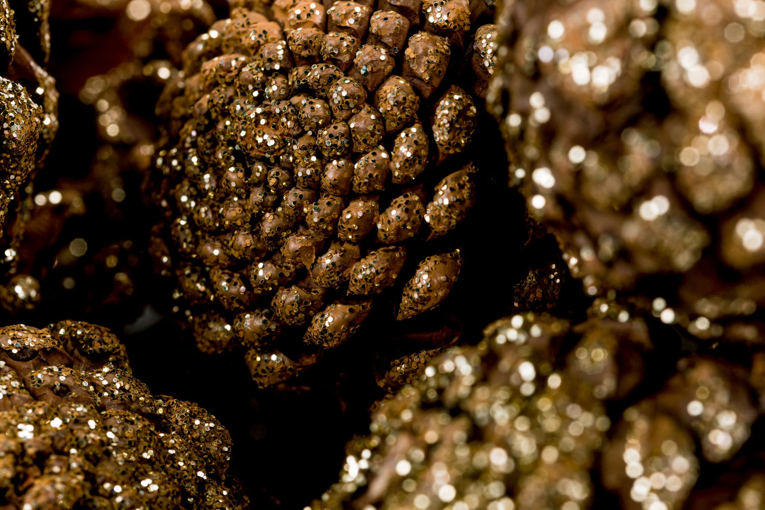Pine Cones