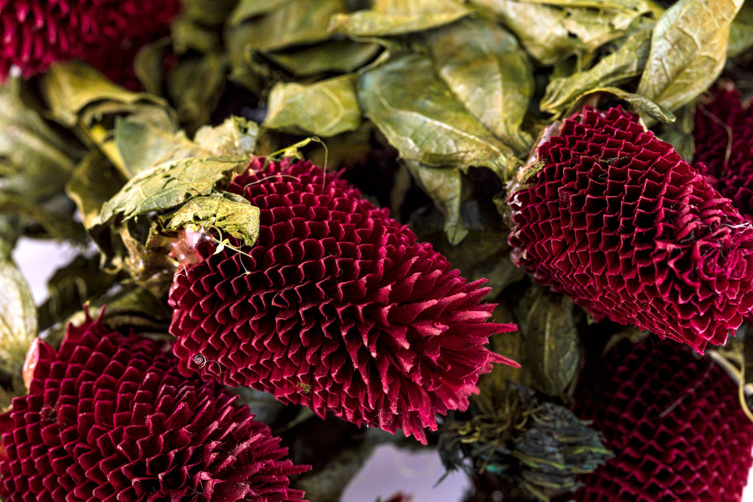 Flowers & Foliages