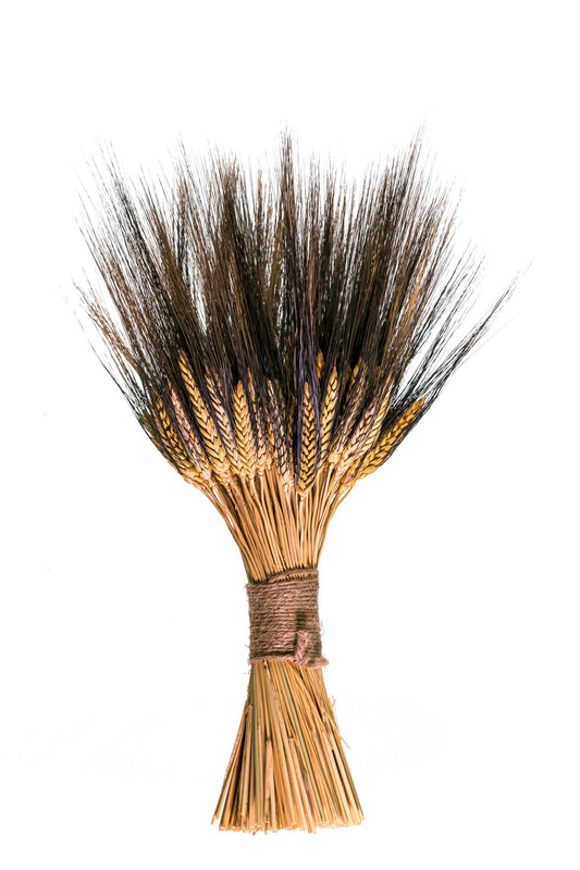 Bouquet of dried wheat on a white background