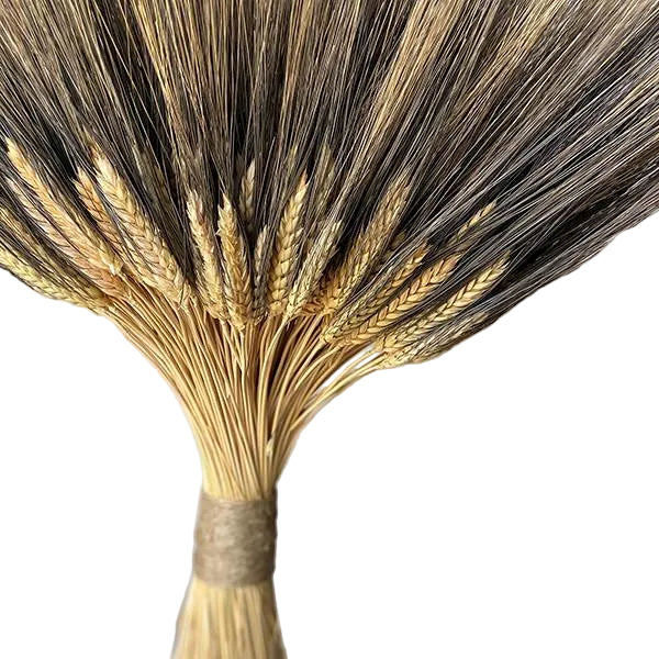 Black Beard Wheat Large Stack, 26"