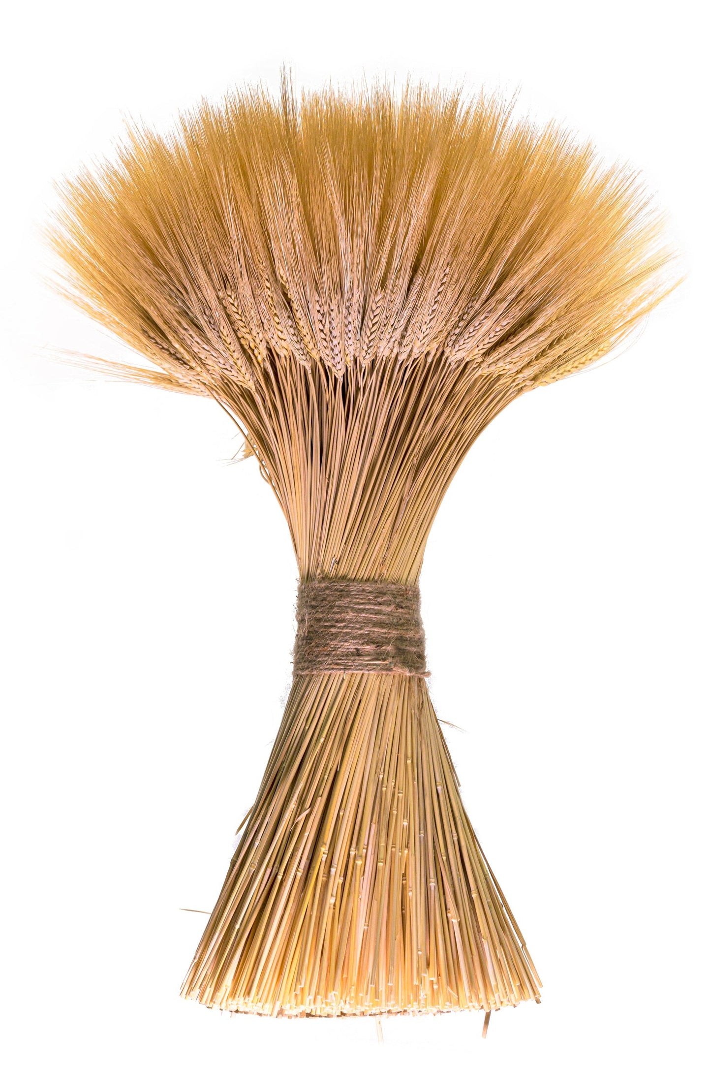 Triticum Wheat Grande Stack, 30"