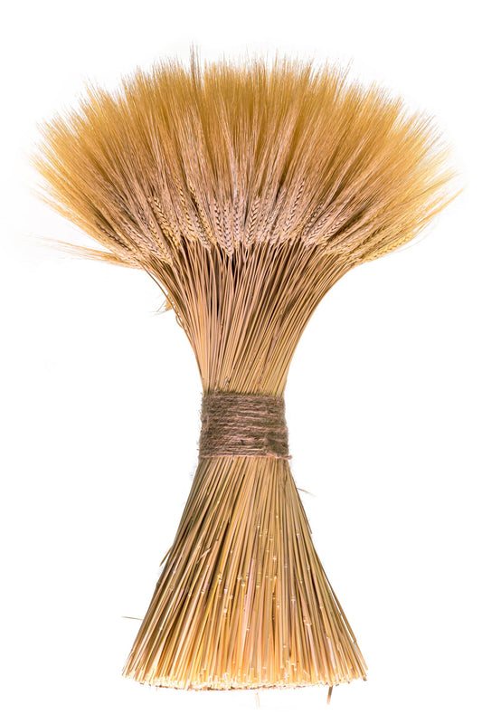 Triticum Wheat Grande Stack, 30"