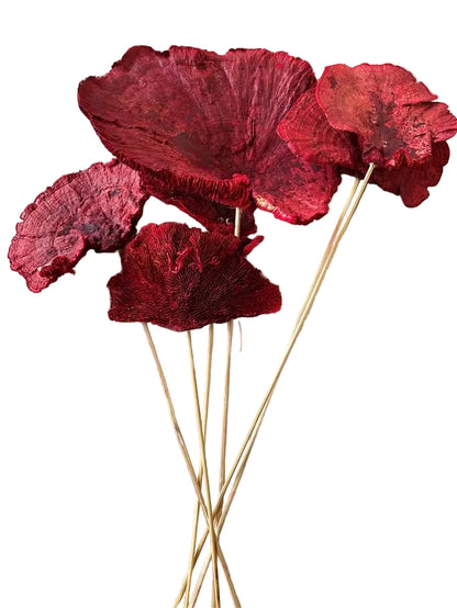 Sponge Mushroom/Stem Red