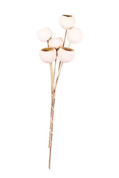 Bell Cup on Stem