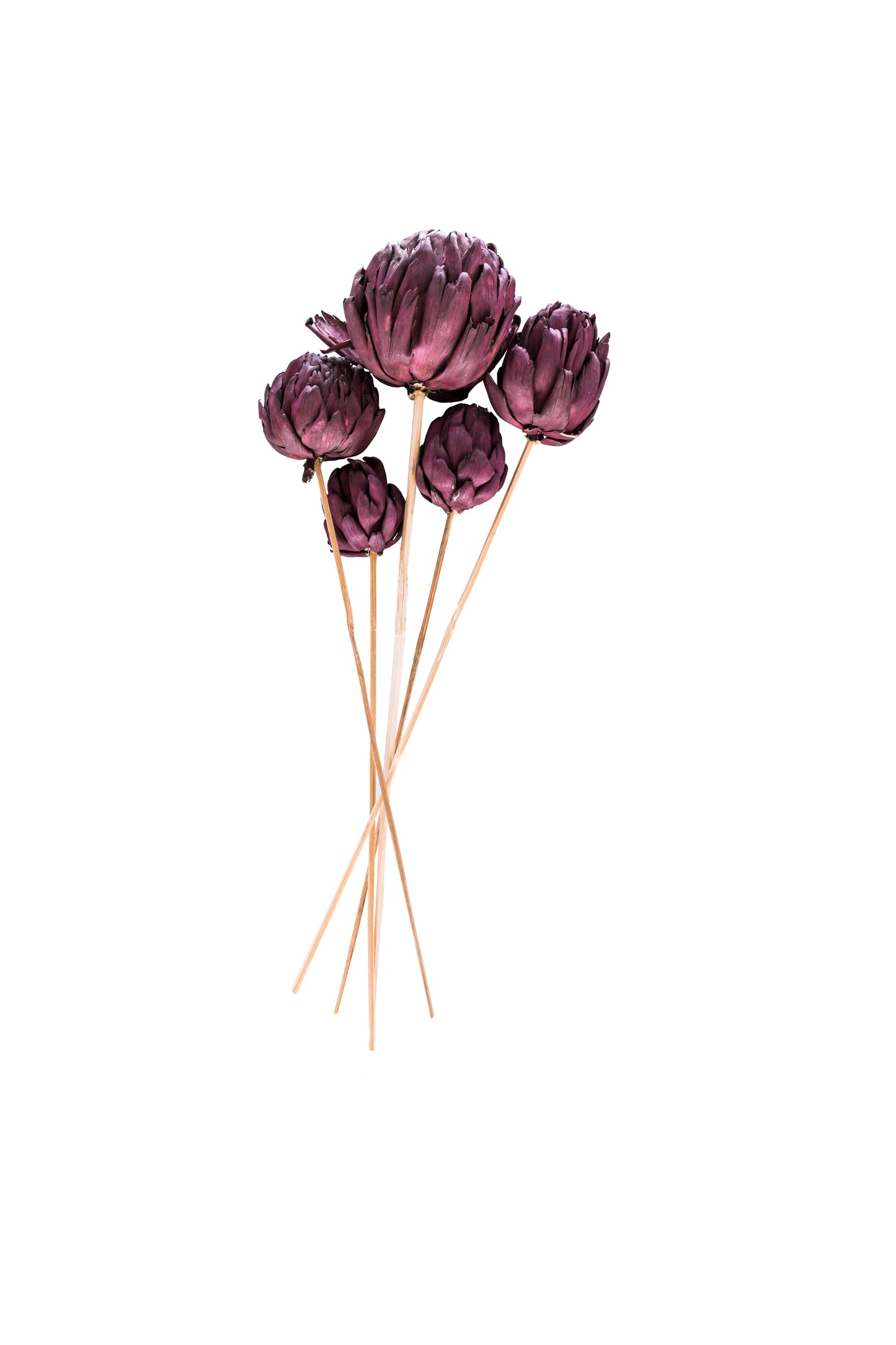 Chico Choke/Stem Purple