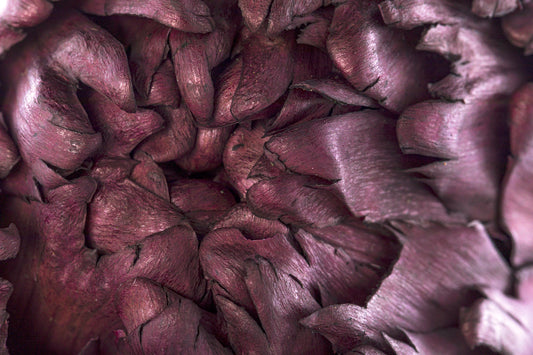 Chico Choke/Stem Purple