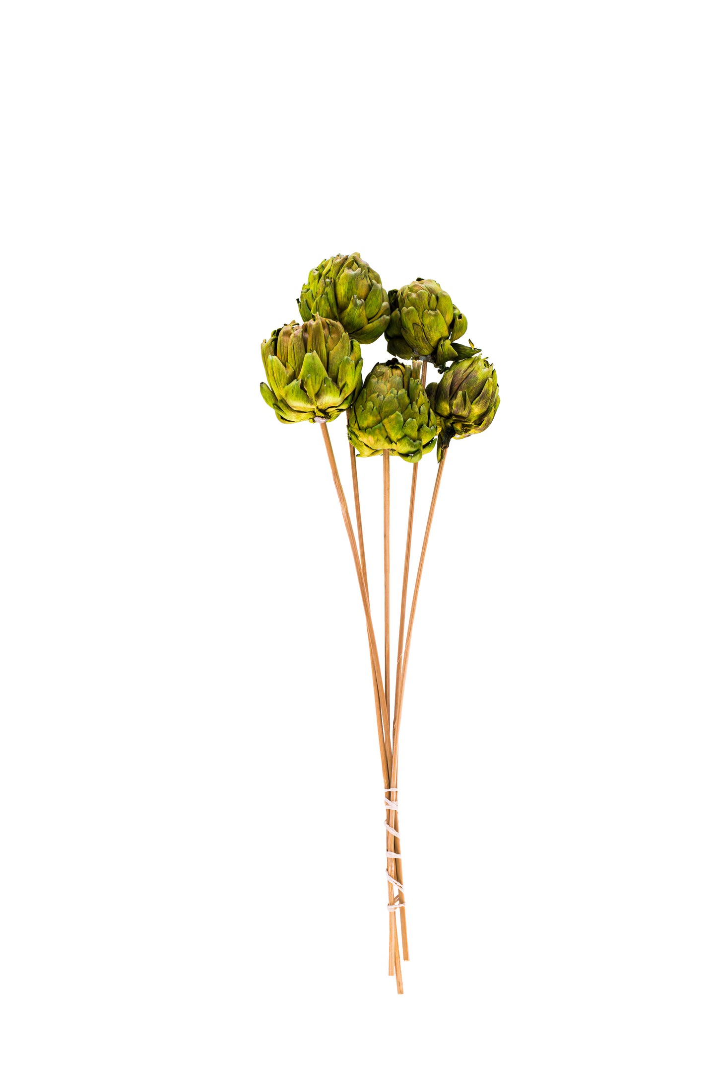 Chico Choke/Stem Grass Green