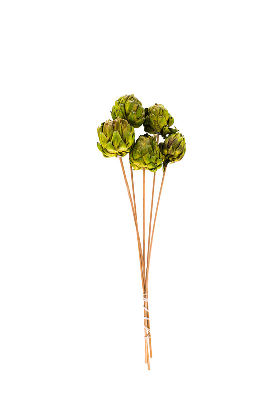 Chico Choke/Stem Grass Green