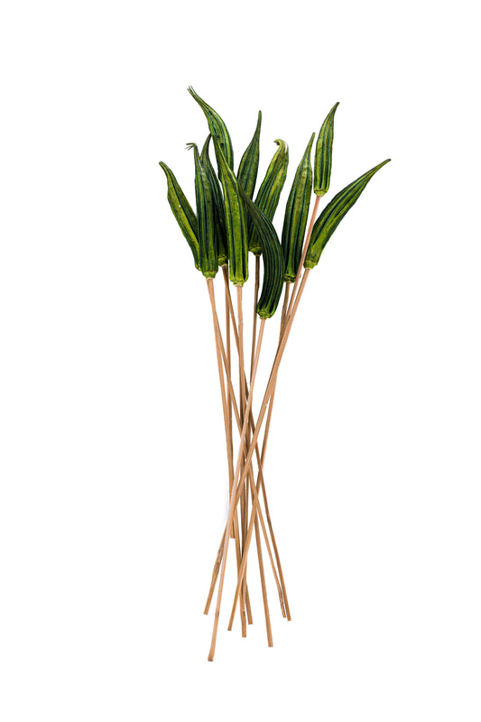 Okra Pod/Stem Grass Green
