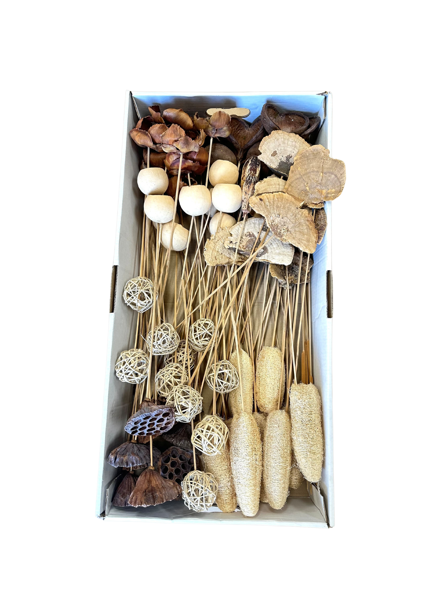 Tray Assortment Large Pods on Stem