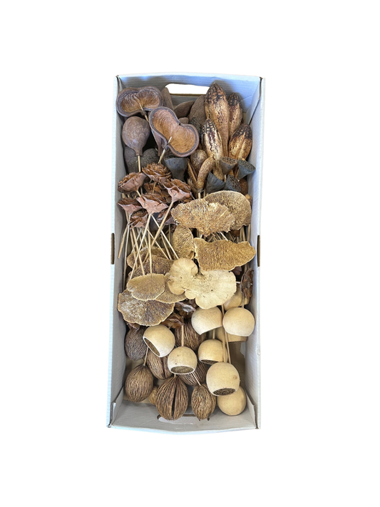Tray Assortment Small Pods on Pick