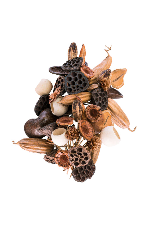 Deluxe Pod Assortment/6"Pick