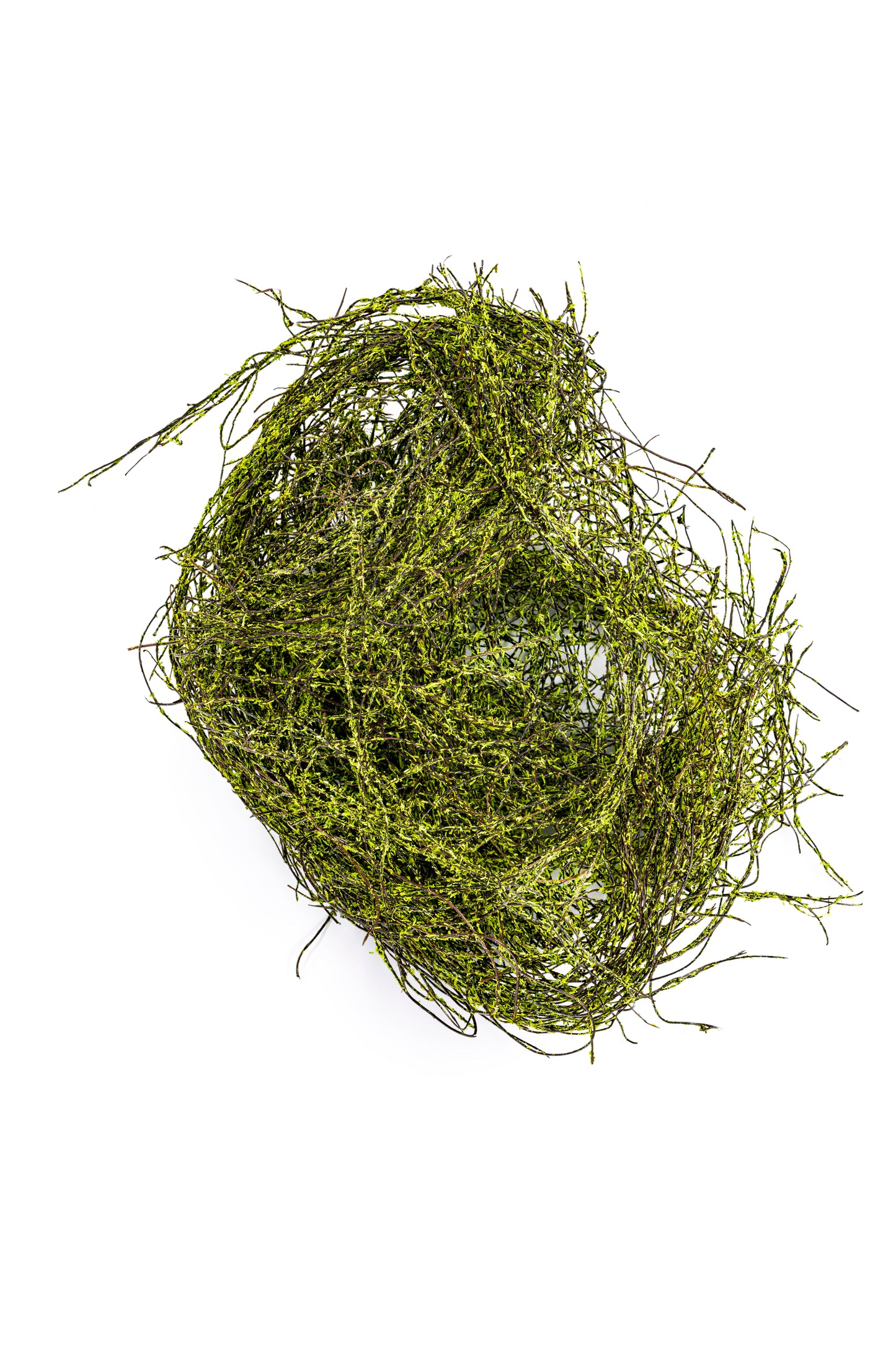 Angel Vine Moss Coated