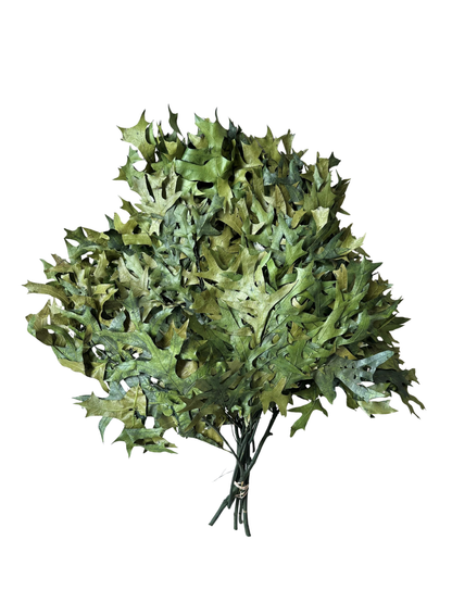 Southern Oak Preserved Green
