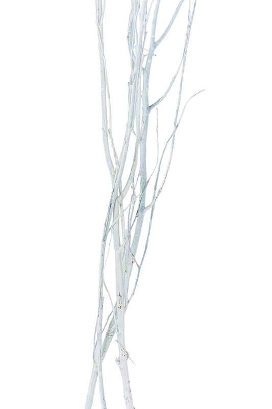 Birch Branch 3-4' White