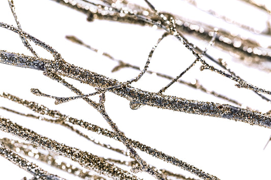 Sparkle Birch Branch 3-4' Champagne