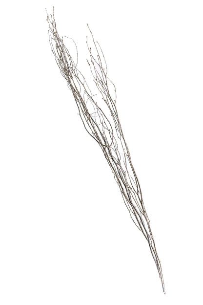 Sparkle Birch Branch 3-4' Champagne