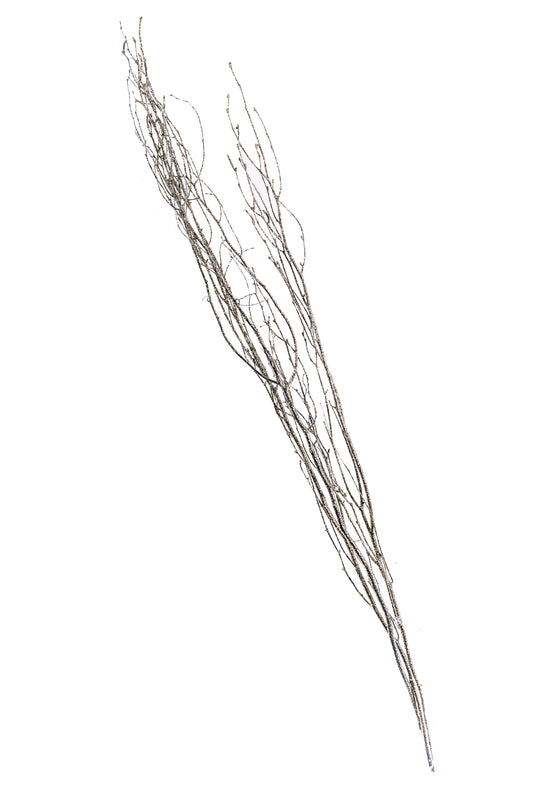 Sparkle Birch Branch 3-4' Champagne