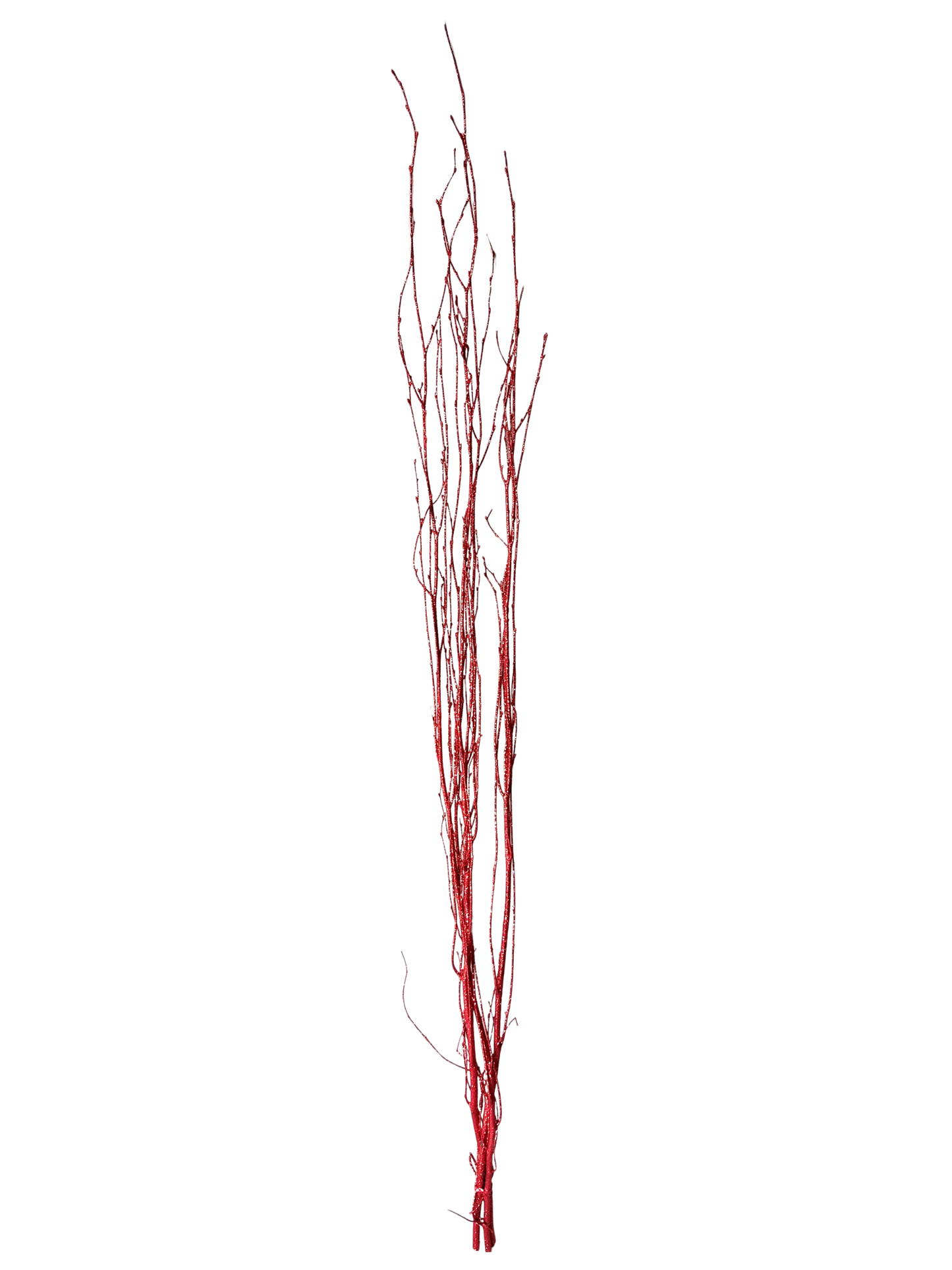 Sparkle Birch Branch 3-4' Red