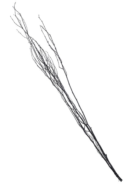 Sparkle Birch Branch 3-4' Black