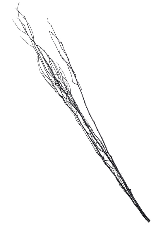 Sparkle Birch Branch 3-4' Black