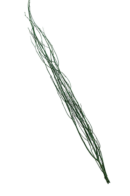 Sparkle Birch Branch 3-4'