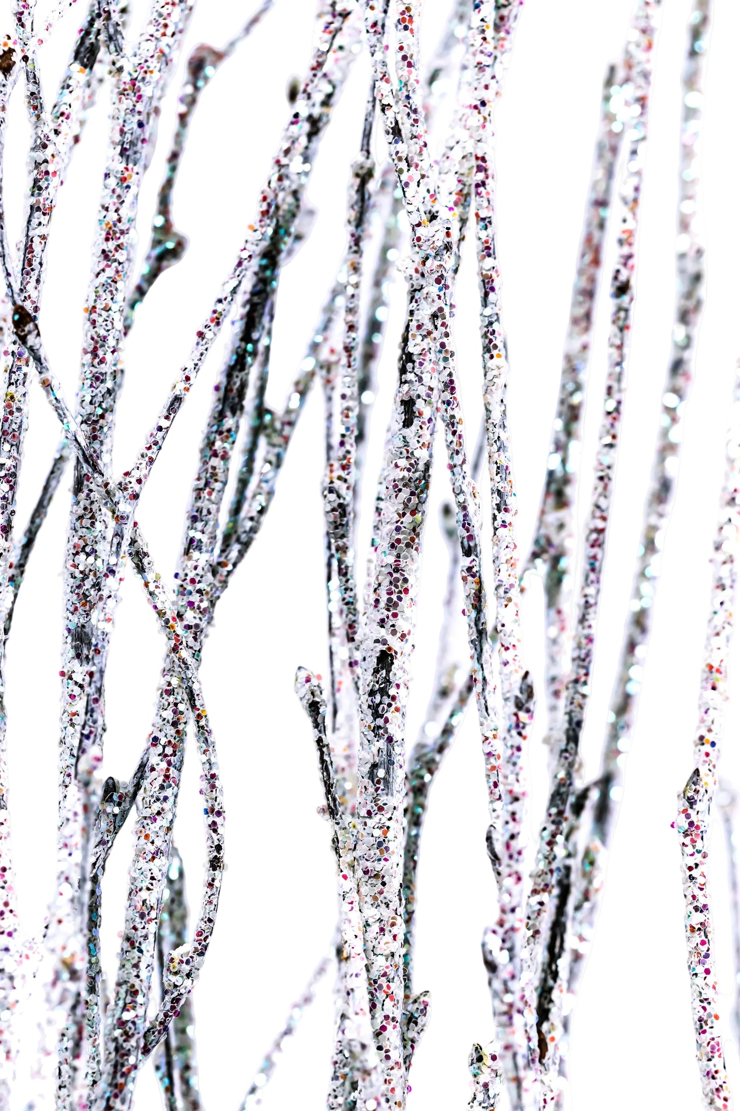 Sparkle Birch Branch 3-4' White