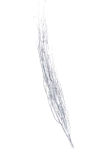 Sparkle Birch Branch 3-4' White