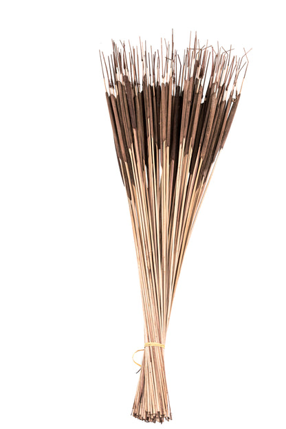 Pencil Cattails Dark