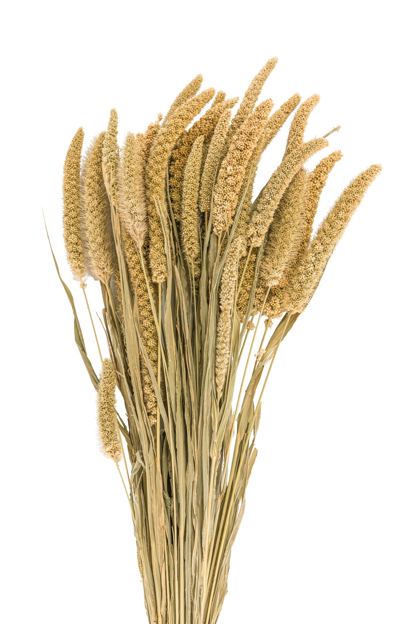 China Millet Natural