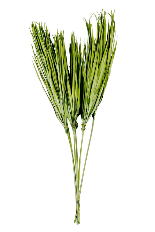 Bulb Foliage