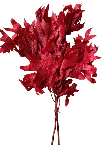 Transparent Oak 1 lb