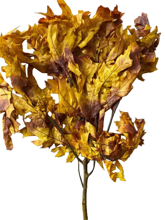 Transparent Oak 1 lb