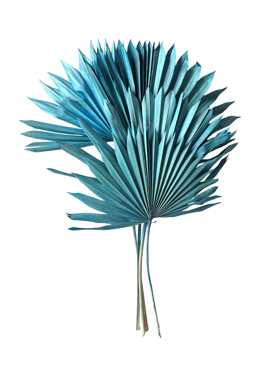 Sun Palm Blue