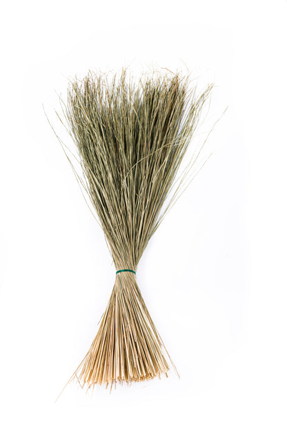 Meadow Grass 36-40"