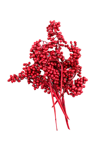 Canella Deluxe Red