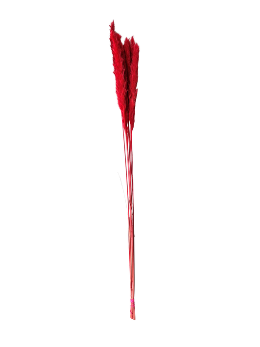 Mini Pampas 30" Red