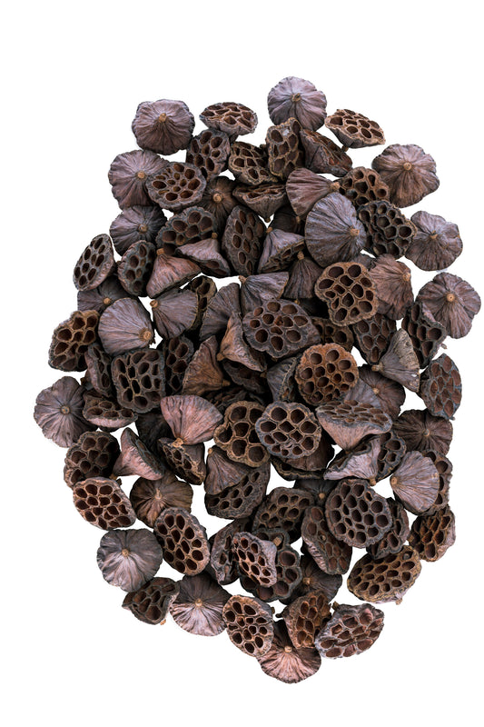 Lotus Pods Bulk Natural (Heads)