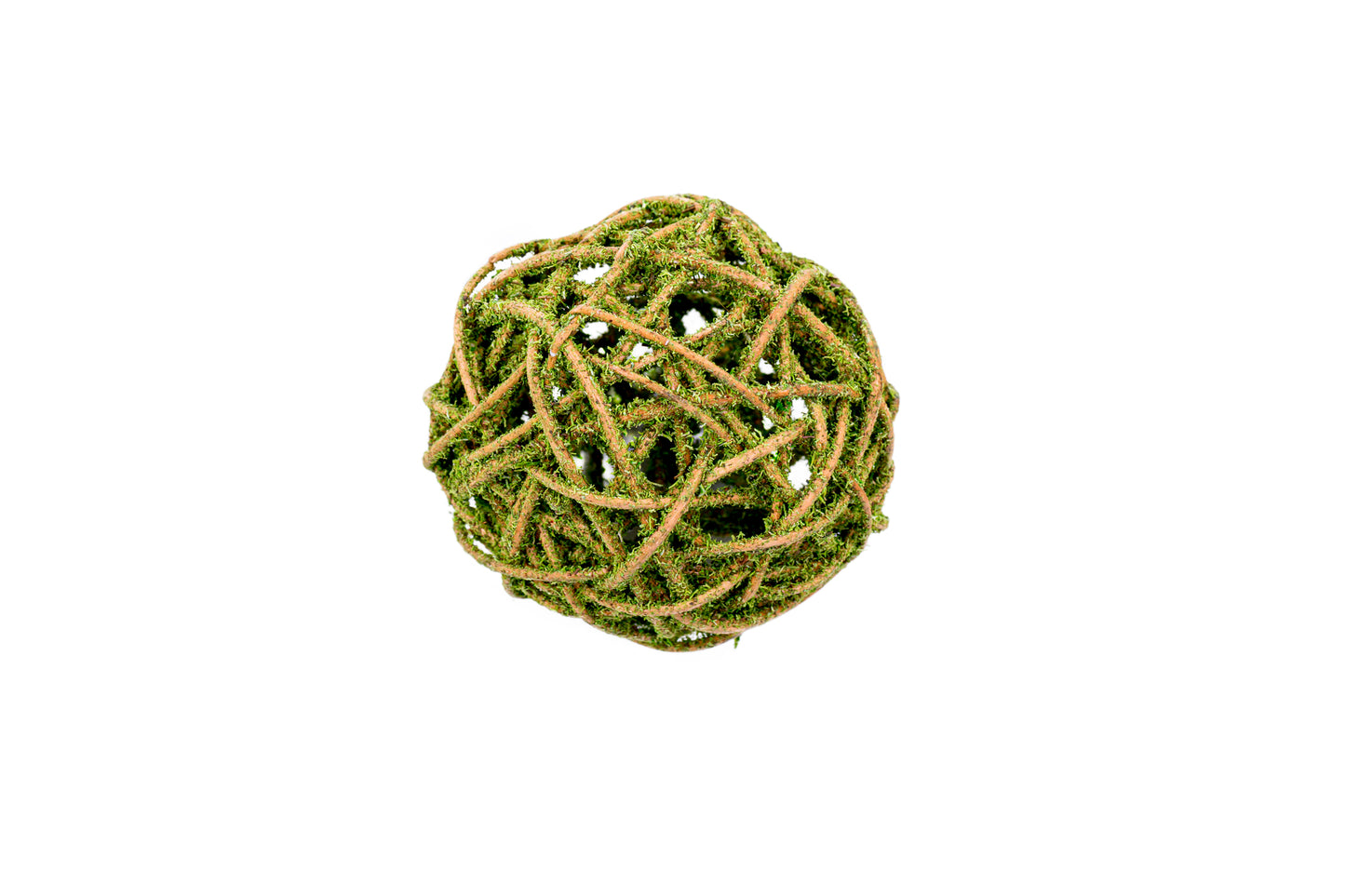 Curly Willow Ball Mosscoat 4"