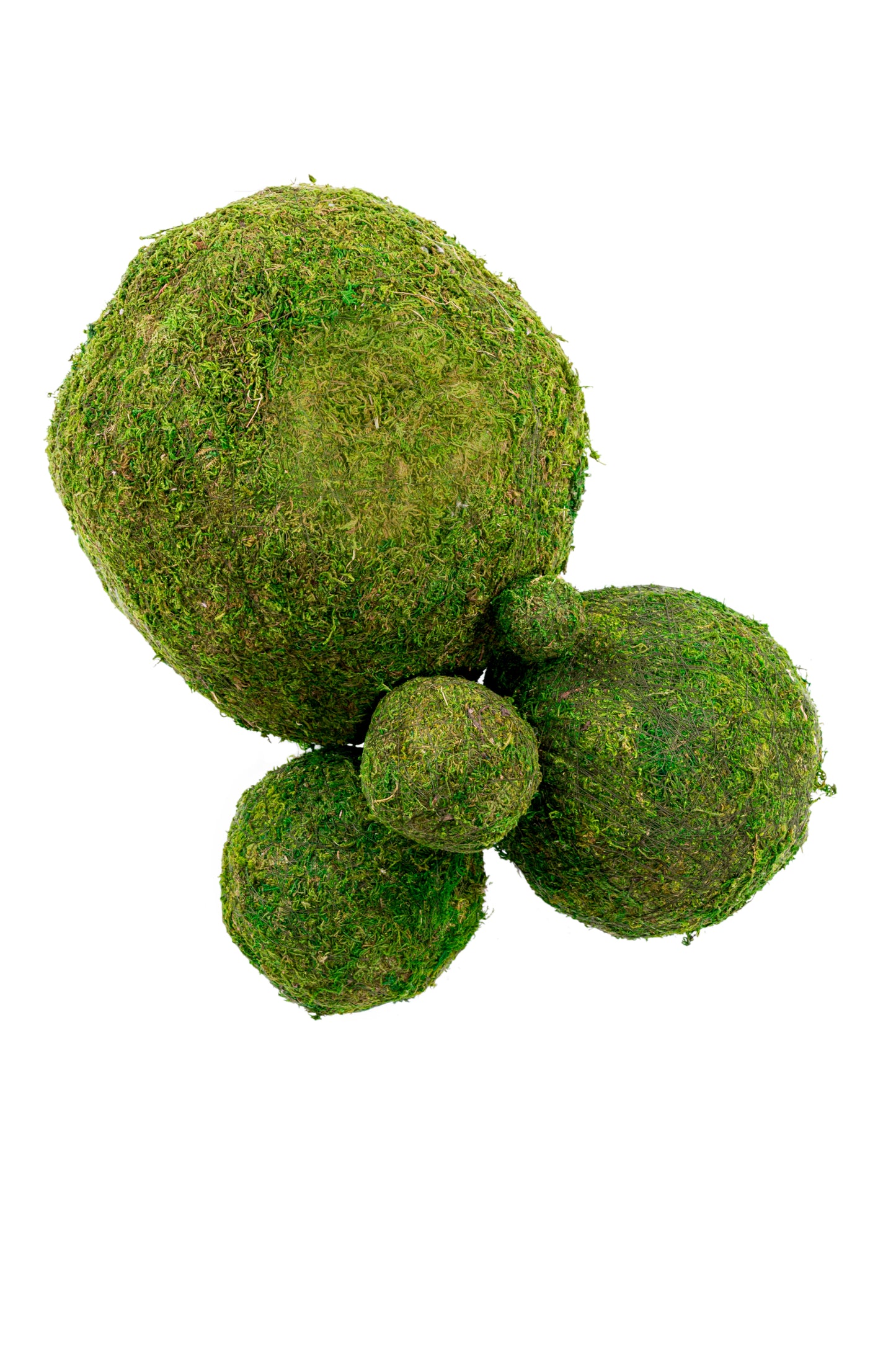Moss Ball 6"
